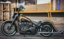 Achscover Schwinge Links -Thunderbike 22 74 130 3