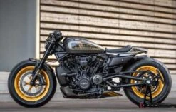 Zahnriemenschutz Schwarz -Thunderbike 22 85 010 42