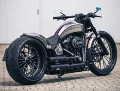 Fußrastenanlage V-Tech -Thunderbike 31 74 020 5a1