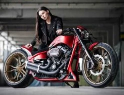 Gabel Grand Prix 11 Gabel Grand Prix -Thunderbike 61 74 040v 42