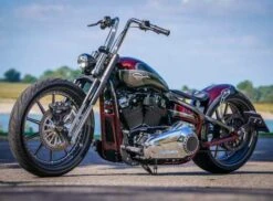 Gabel Radical 2.0 -Thunderbike 61 74 130 2a