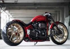 Einarmschwingen Umbau Kit 21" Alu 11 Einarmschwingen Umbau Kit 21" Alu -Thunderbike 66 74 030 3a3