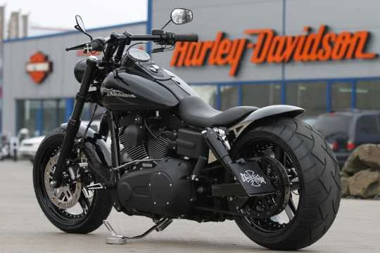 Schwingen Kit Dyna 260 4 Schwingen Kit Dyna 260 – Bild 2