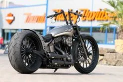 Schwingen Kit Kreuzfeuer -Thunderbike kreuzfeuer schwinge5